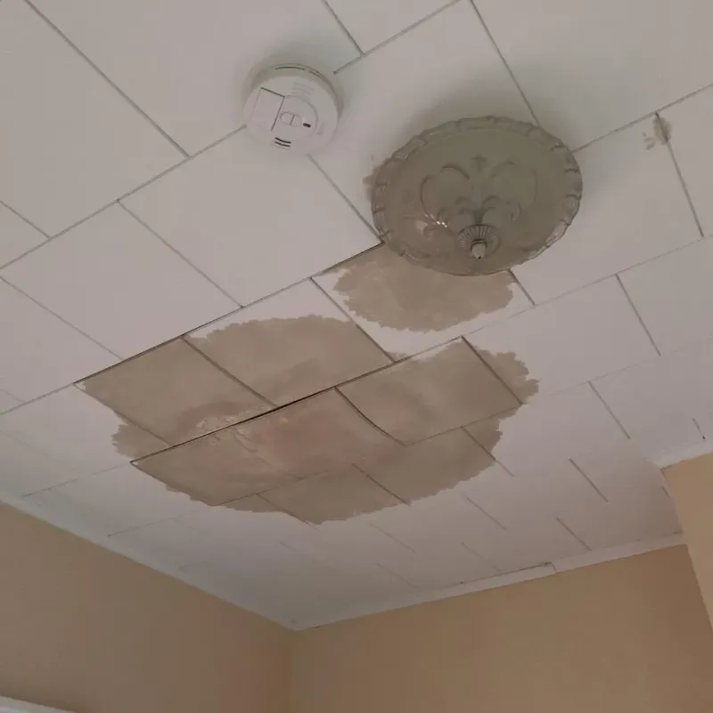 Ceiling Water Damage Repair in Bradford Woods, PA