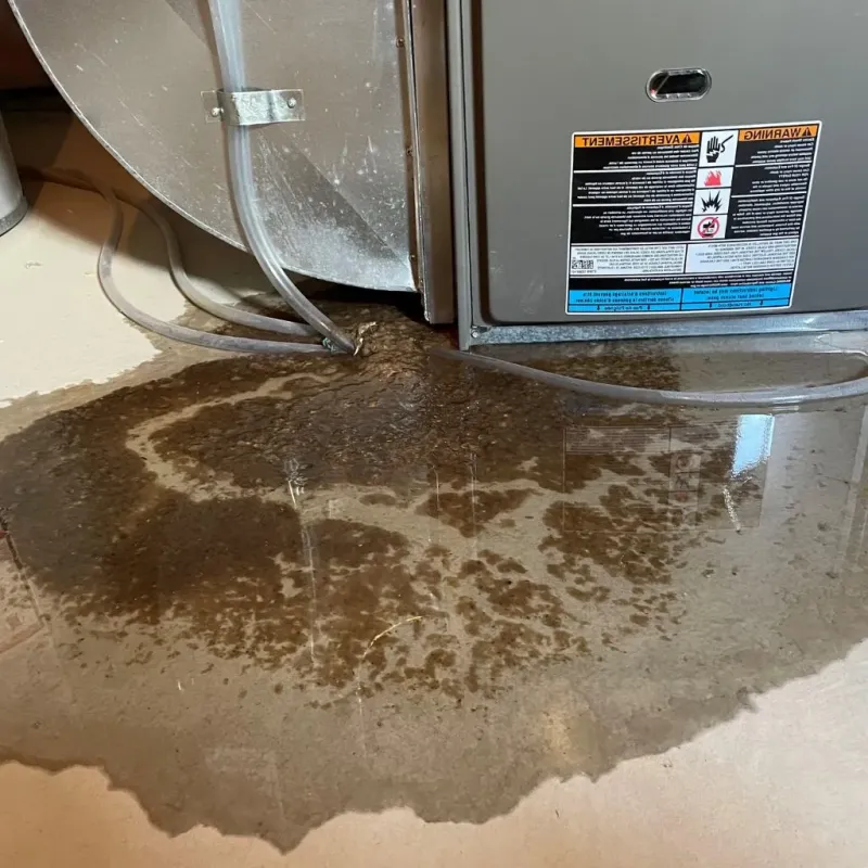 Pipe Burst and Leak Restoration in Bradford Woods, PA