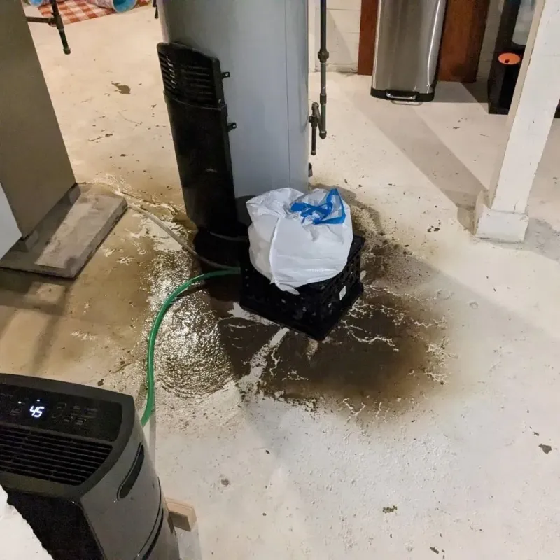 Sewage Backup Cleanup Service in Bradford Woods, PA